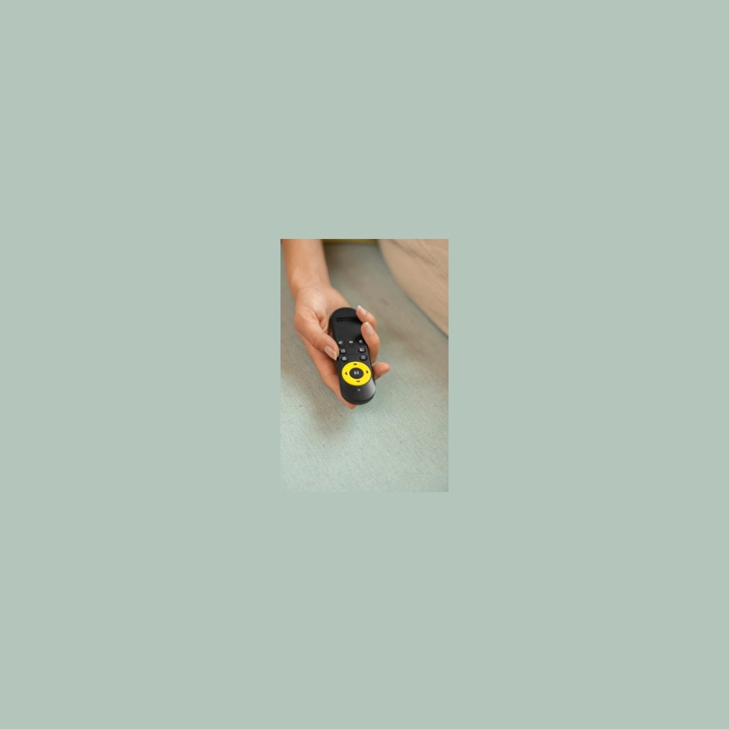 Karcher RCW 2 Window Cleaning Robot 1.269-210.0
