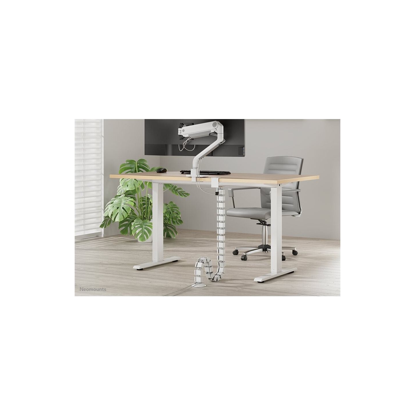 Neomounts CABLE SPINE ORGANIZER FOR SIT/STAND DESK FRAMES, CLAMP MOUNTED, WHITE