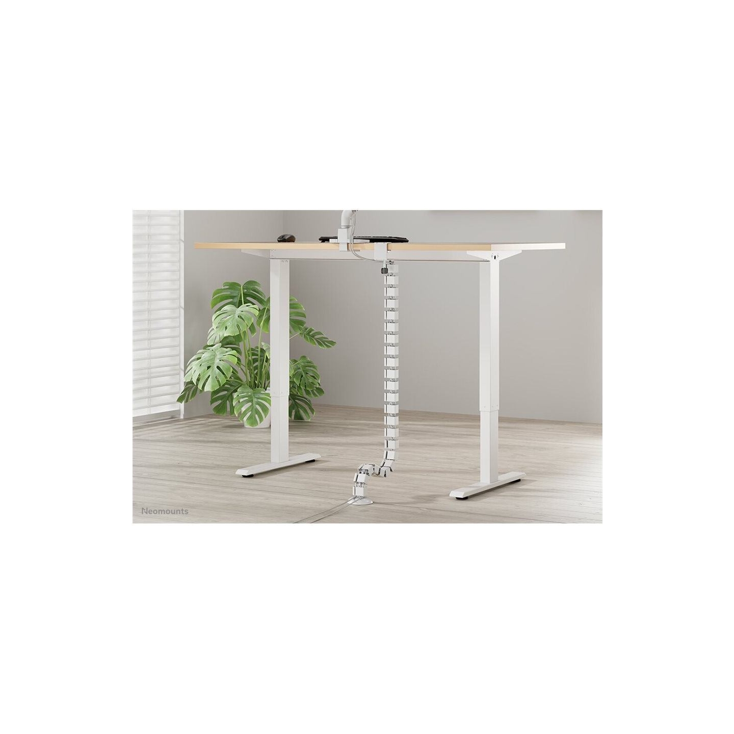 Neomounts CABLE SPINE ORGANIZER FOR SIT/STAND DESK FRAMES, CLAMP MOUNTED, WHITE