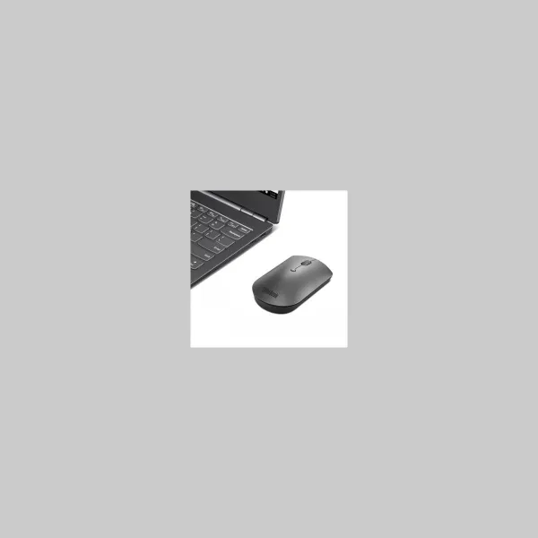 Lenovo Mouse 4Y50X88824 / ThinkPad Silent Dark gray / 4Y50X88824