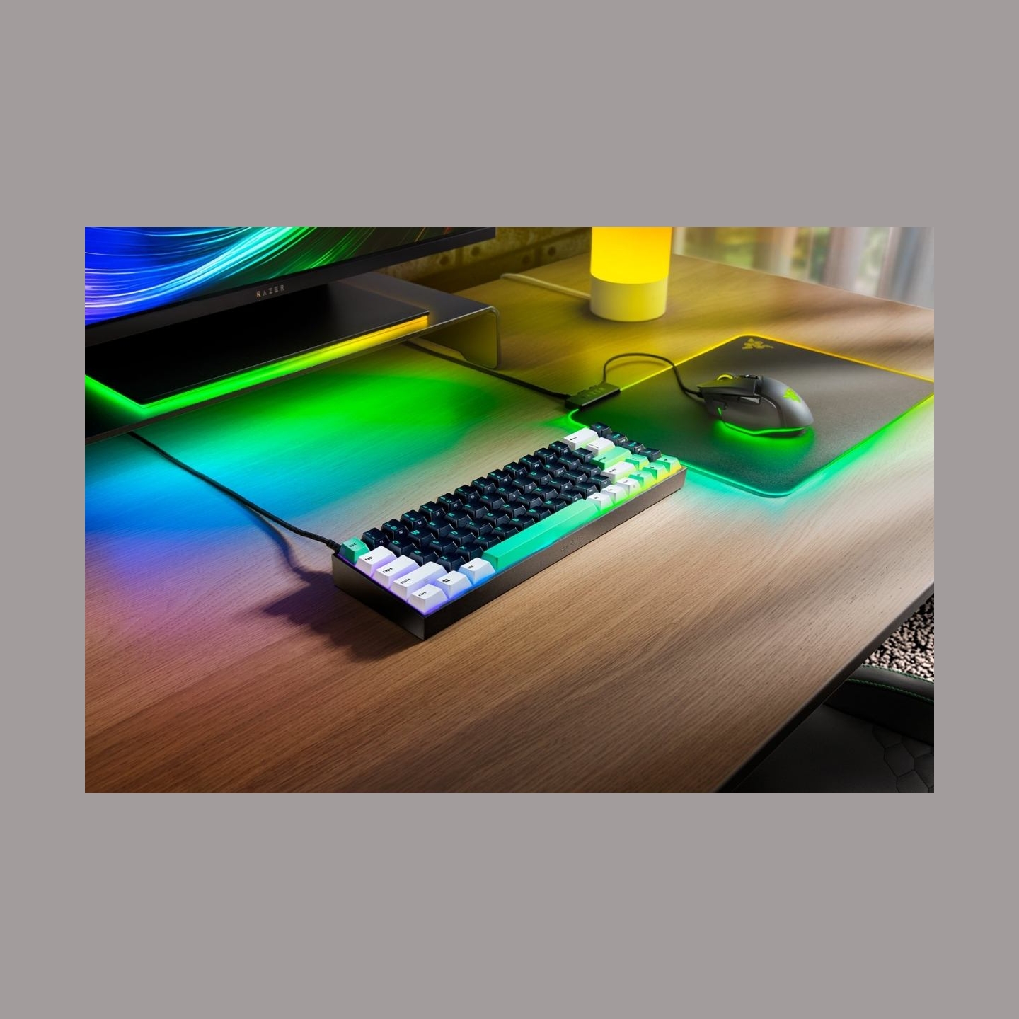 Razer | Reclusa X Mini 65% | Mechanical Gaming Keyboard | Wired | US | Razer Mechanical Switches Gen-3 (Tactile) | Black