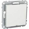 Schneider ELECTRIC EXXACT CENTER PLATE, WHITE