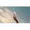 Philips Sonicare series 5300 HX7108/01 / HX7108/01