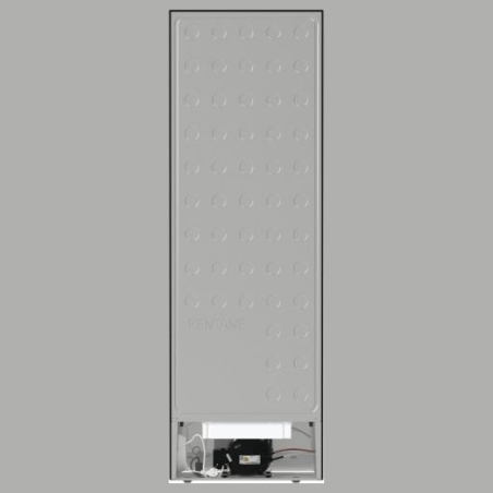 Gorenje Cooler R619EABK6