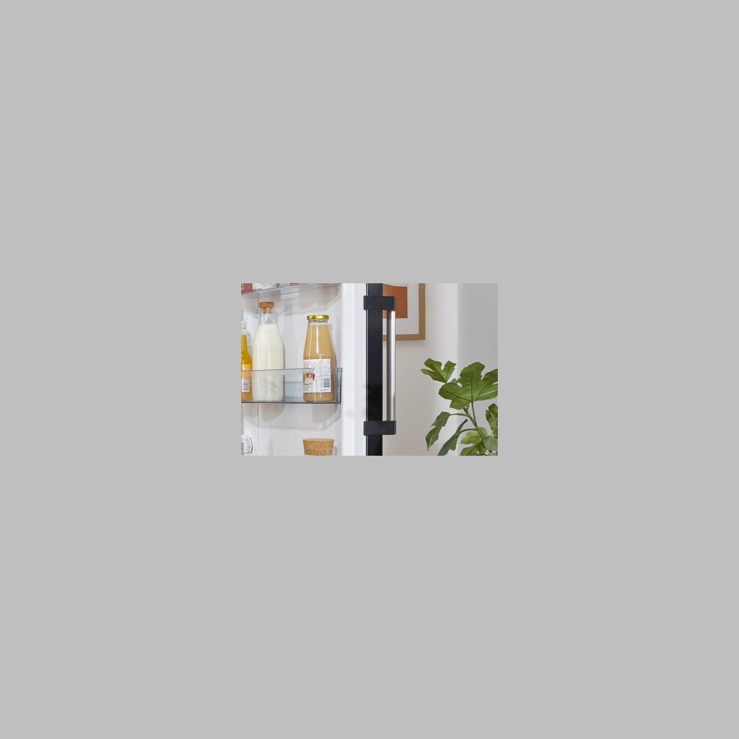 Gorenje Cooler R619EABK6