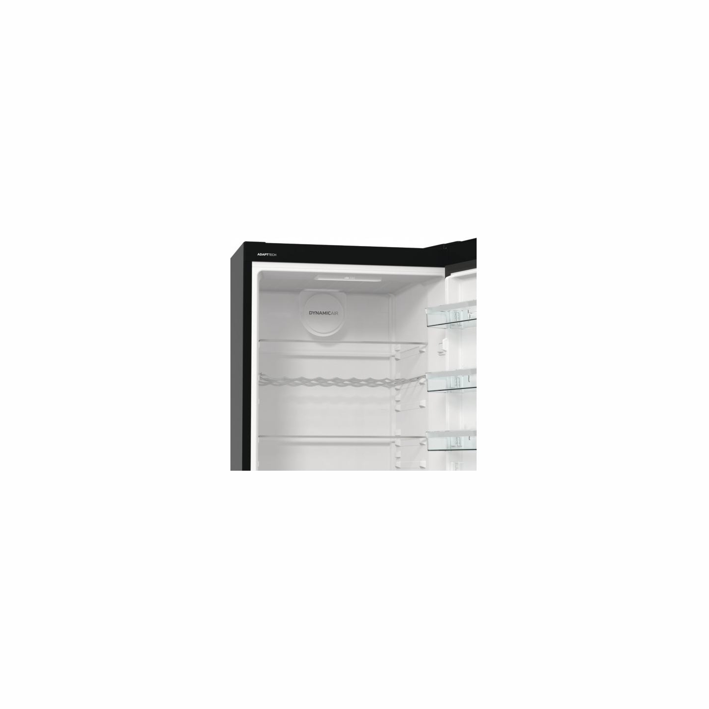 Gorenje Cooler R619EABK6