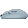 Canyon mouse MW-12 Dual band Wireless Blue
