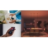 Philips Hue E WCA 806 A60 E27 3kit EU | E27 | 8 W | 16 million colours, White and colour light