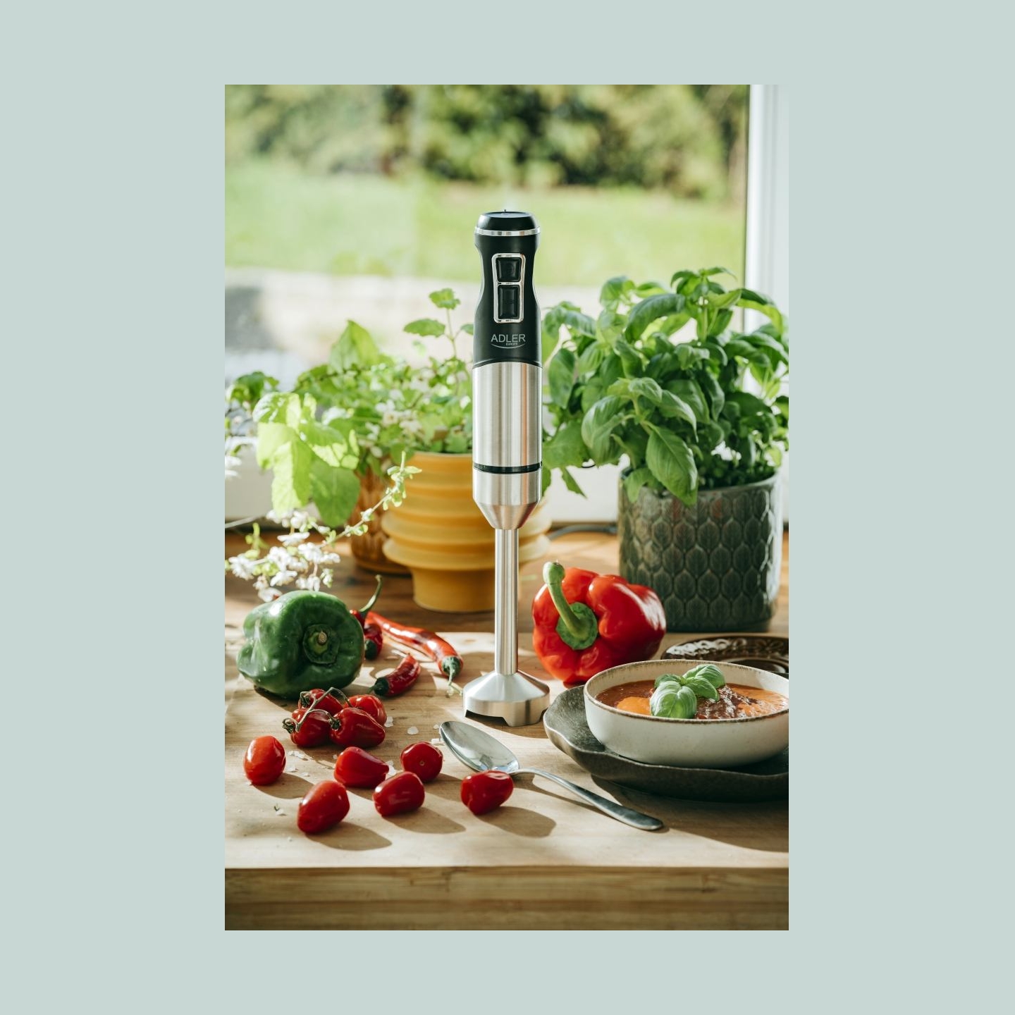 Adler | Hand Blender | AD 4628 | Hand Blender | 1900 W | Number of speeds 1 | Turbo mode | Ice crushing | Stainless Steel/Black