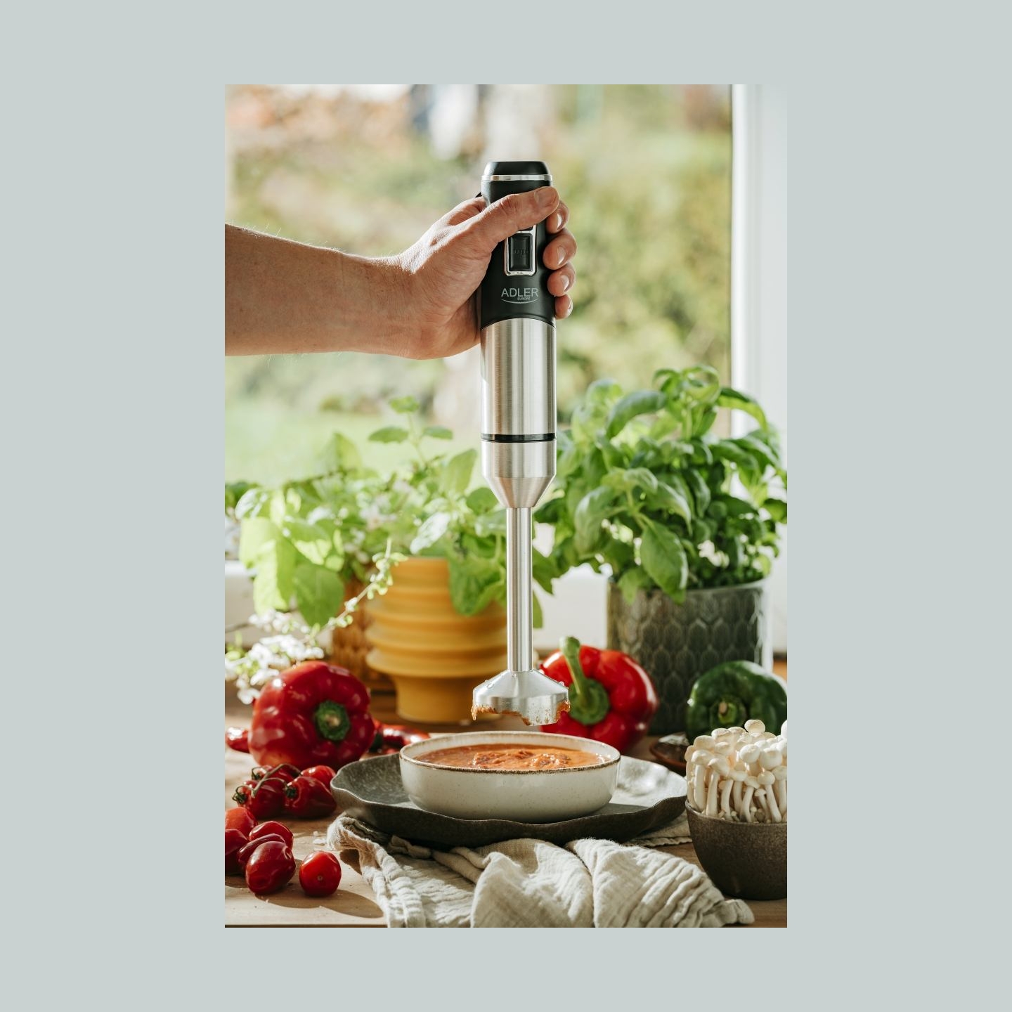 Adler | Hand Blender | AD 4628 | Hand Blender | 1900 W | Number of speeds 1 | Turbo mode | Ice crushing | Stainless Steel/Black