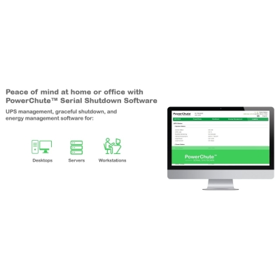 APC BK500EI APC Back-UPS 500, 230V