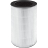 Homedics AP-T30FLR HEPA-Filter