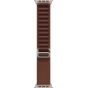 Apple 49mm Burgundy Alpine Loop - Medium - Natural Titanium Finish | Apple