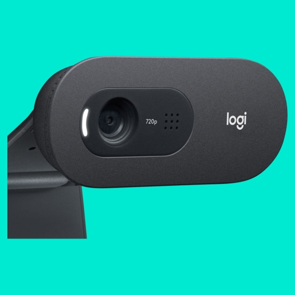 Logitech C505 HD Webcam with Long Range Microphone / 960-001364