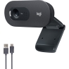Logitech C505 HD Webcam with Long Range Microphone / 960-001364