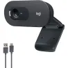 Logitech C505 HD Webcam with Long Range Microphone / 960-001364