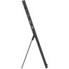 Asus Monitor 16-inch MB16FC 16:10 IPS WUXGA USBC mHDMI
