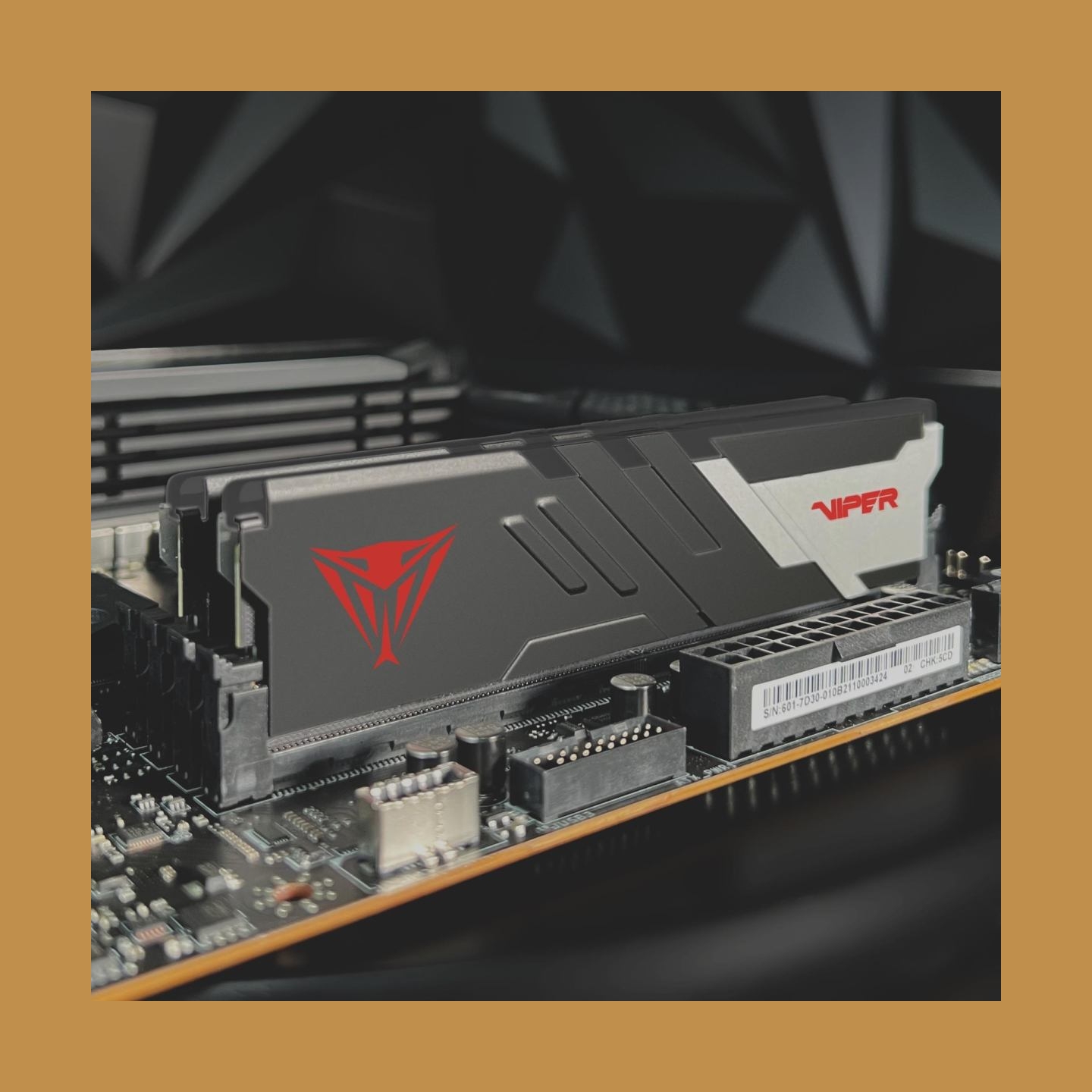 Patriot MEMORY DIMM 16GB DDR5-6000/PVV516G60C30 PATRIOT