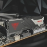Patriot MEMORY DIMM 16GB DDR5-6000/PVV516G60C30 PATRIOT