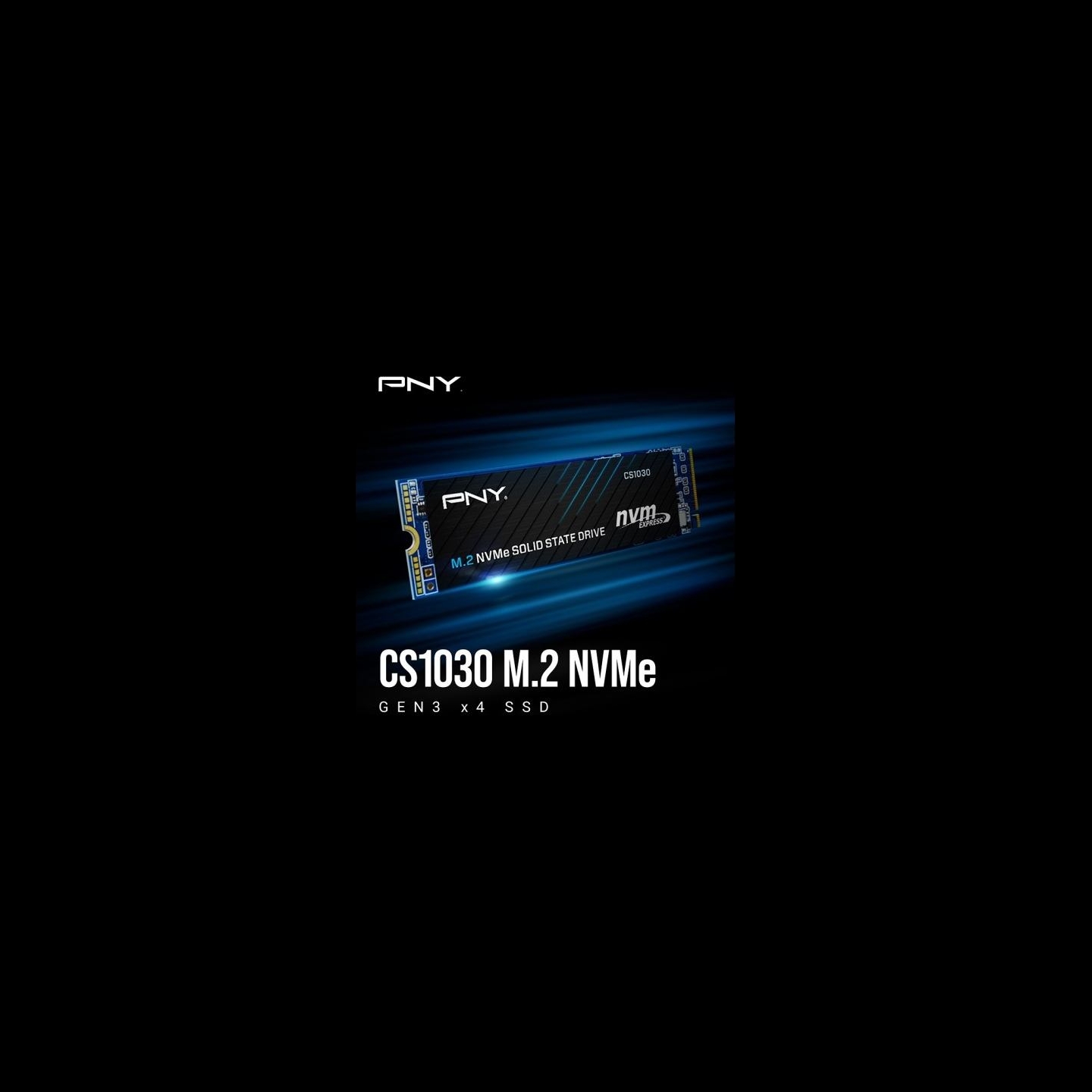 PNY SSD 2TB M.2 2280 PCIe CS1030 M280CS1030-2TB-RB