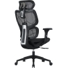 Canyon gaming chair Ventra MOCH01 Mesh Black