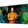 Samsung QH65C 65inch UHD 24/7 700nit