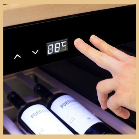 Caso | Smart Wine Cooler | WineExclusive 66 | Energy efficiency class G | Showcase | Free standing | Bottles capacity bottles | 