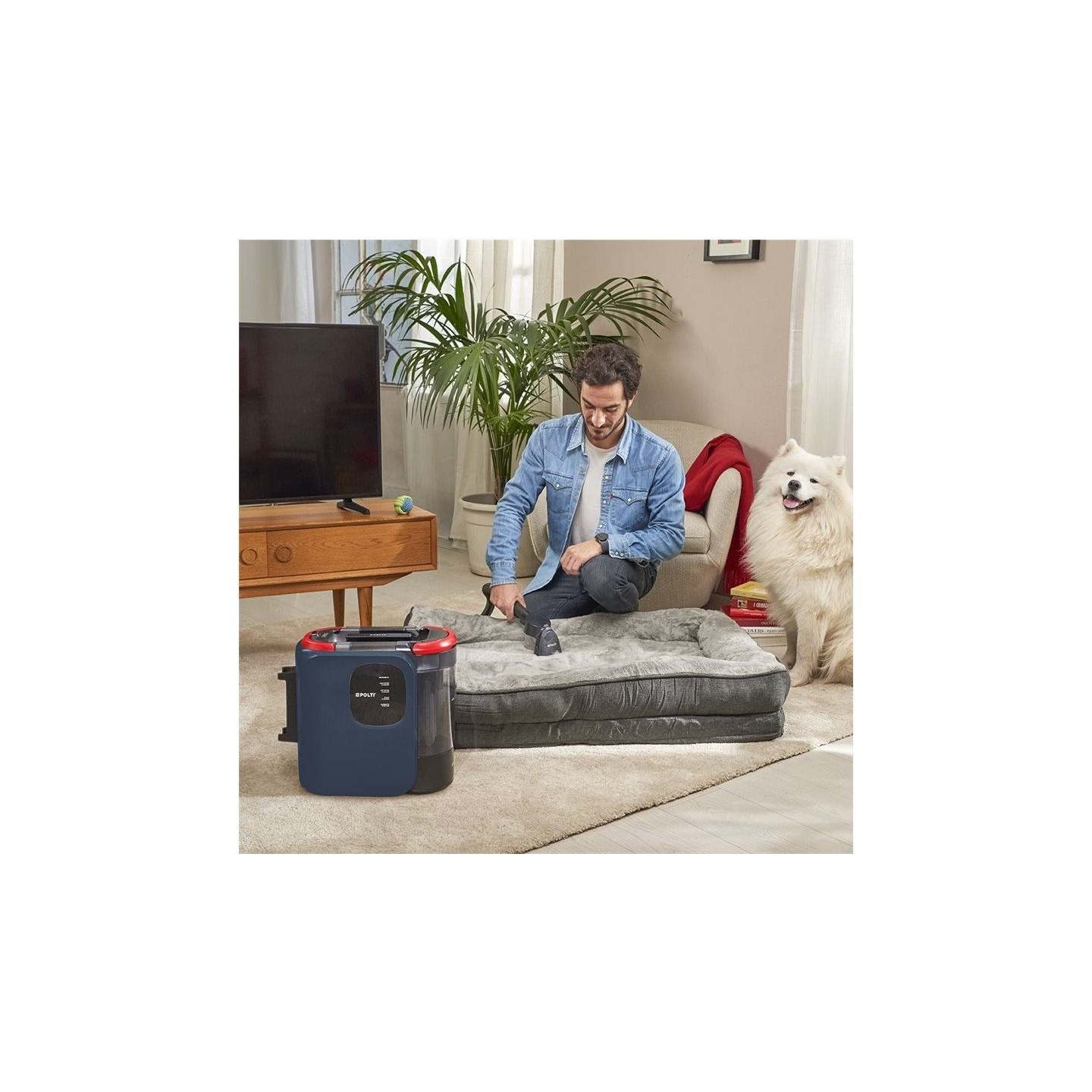Polti Steam cleaner | StainOver Pet SC40 | Power 2000 W | Water tank capacity 1.6 L | Blue/Black