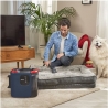 Polti Steam cleaner | StainOver Pet SC40 | Power 2000 W | Water tank capacity 1.6 L | Blue/Black