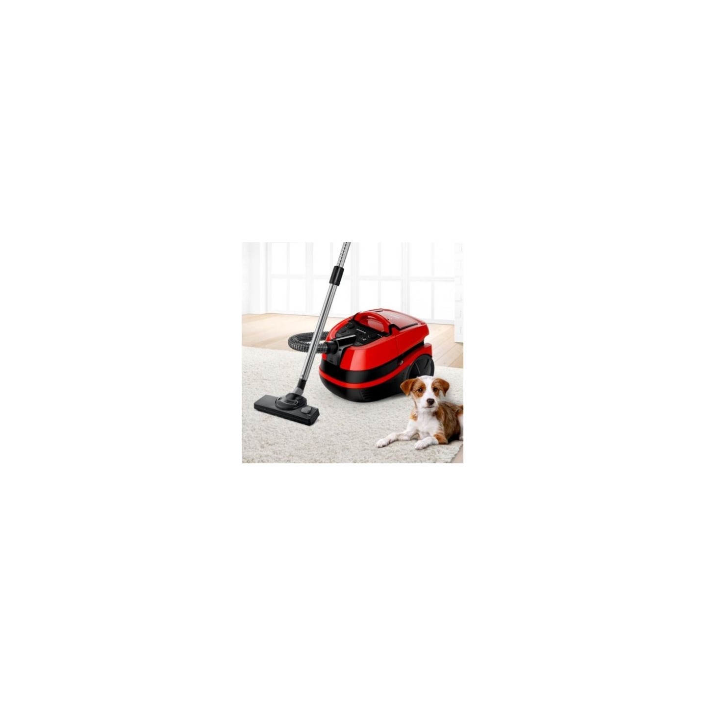 Bosch Vacuum cleaner ProAnimal BWD421PET