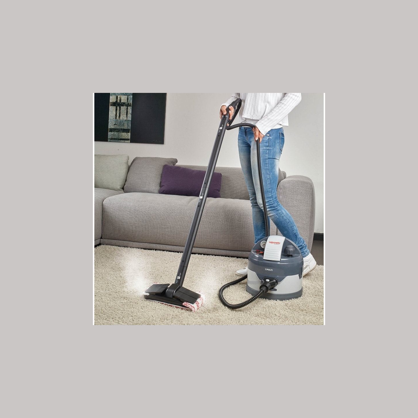 Polti | Steam cleaner | PTEU0260 Vaporetto Eco Pro 3.0 | Power 2000 W | Steam pressure 4.5 bar | Water tank capacity 2 L | Grey