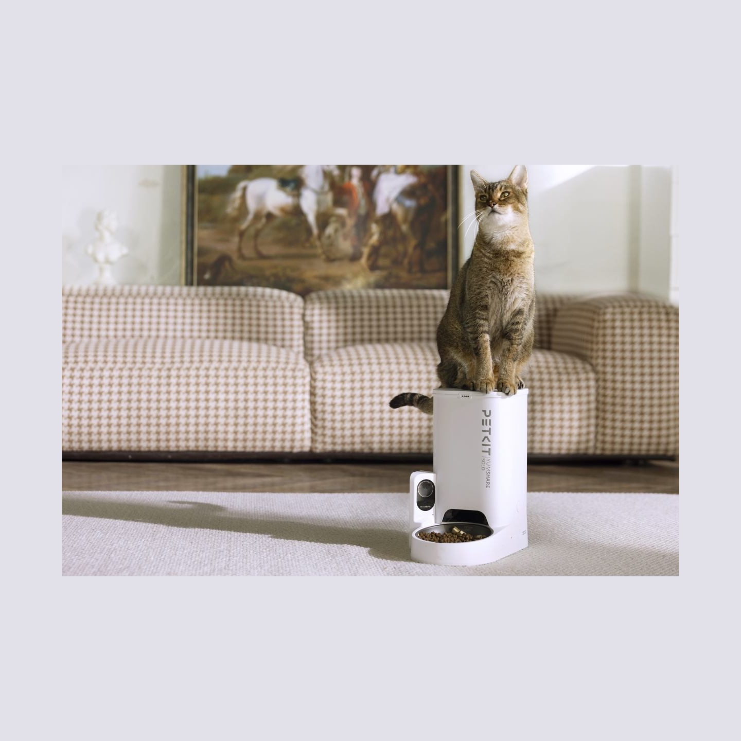 Petkit | Feeder with Camera | P571 YumShare Solo | Capacity 3 L | White