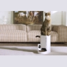 Petkit | Feeder with Camera | P571 YumShare Solo | Capacity 3 L | White