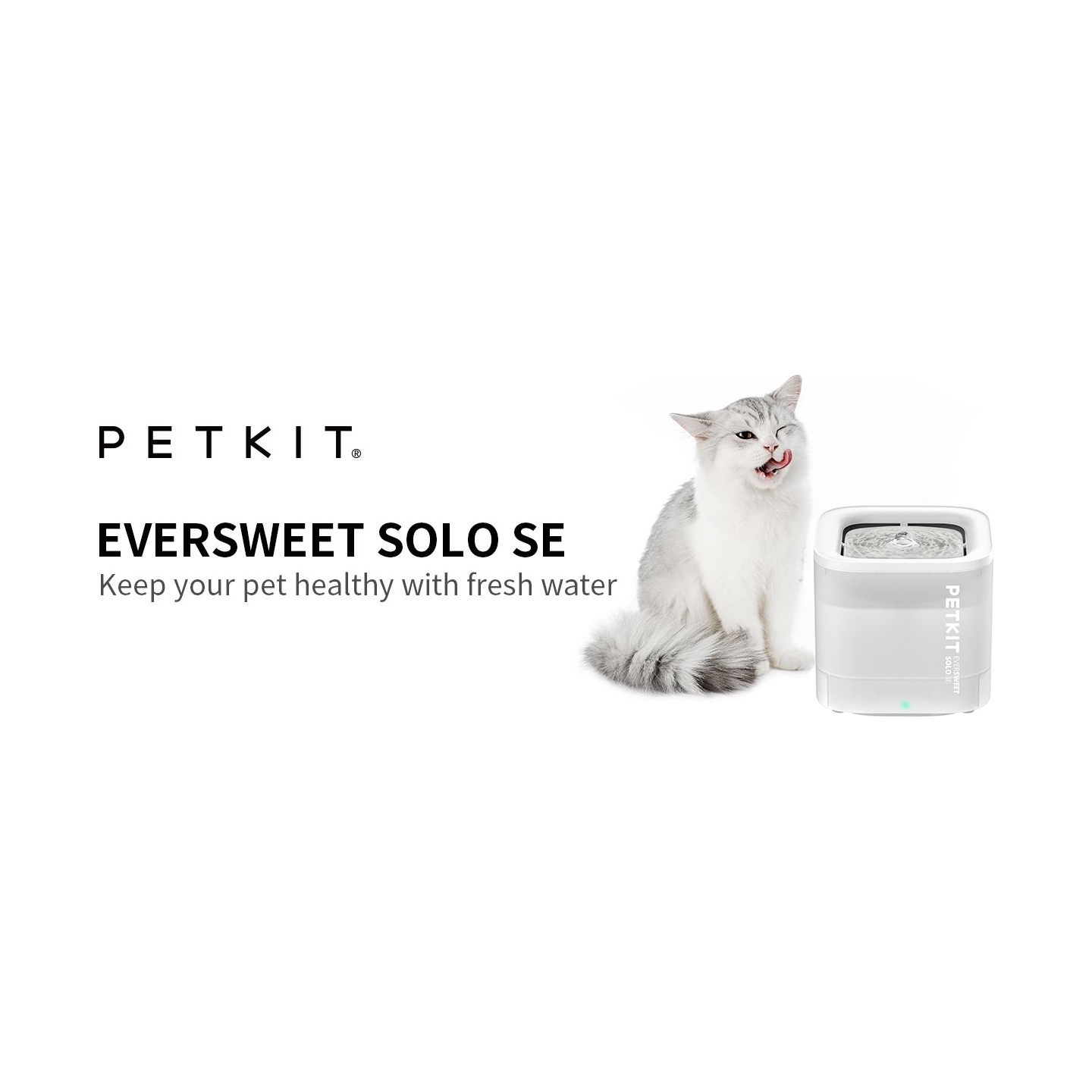 Petkit | Smart Pet Drinking Fountain | Eversweet Solo | Capacity 1.8 L | Filtering | Material Plastic | White