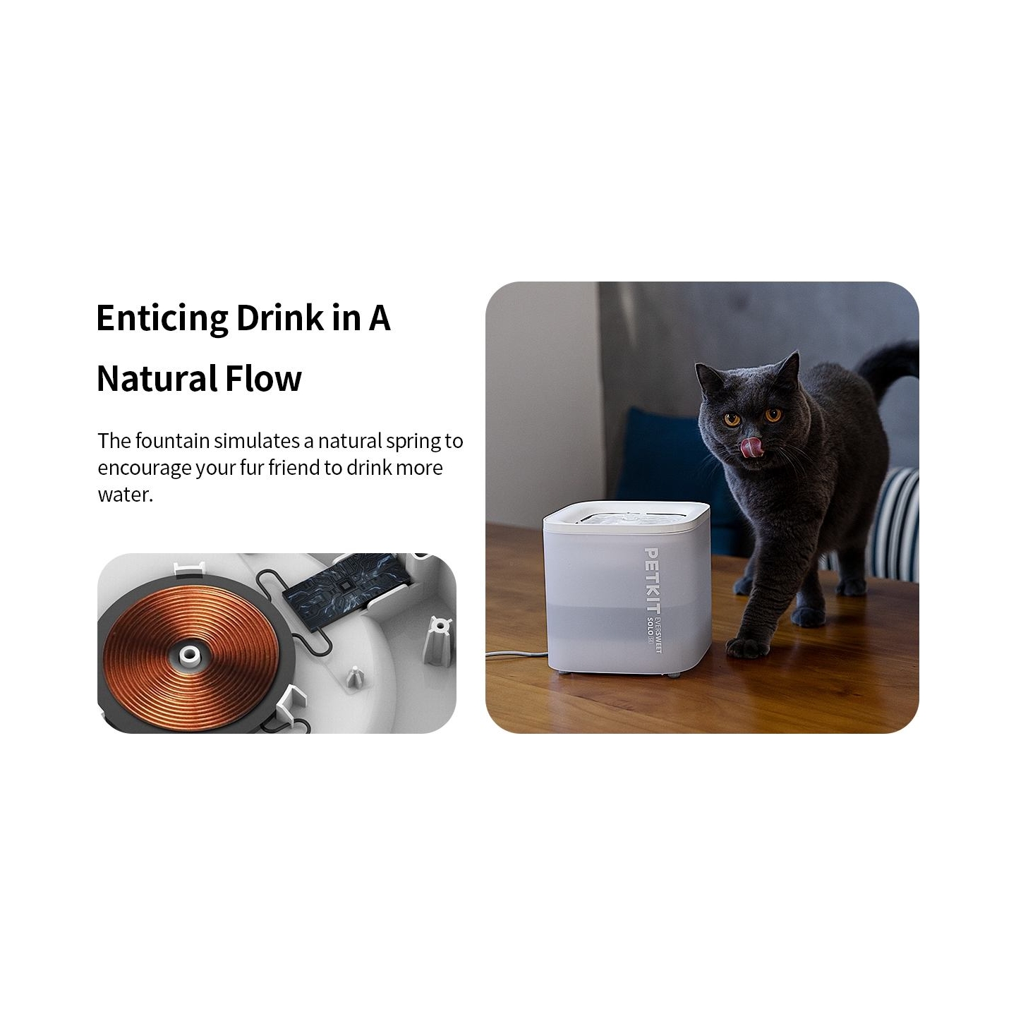 Petkit | Smart Pet Drinking Fountain | Eversweet Solo | Capacity 1.8 L | Filtering | Material Plastic | White
