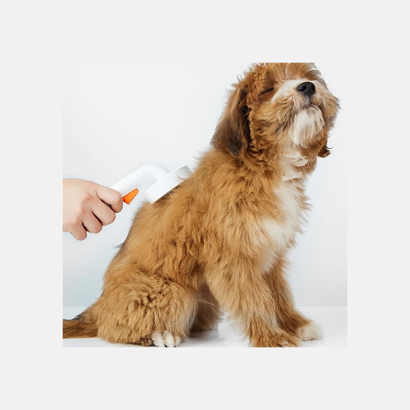 Petkit | Large Pet Grooming Brush 2 | White
