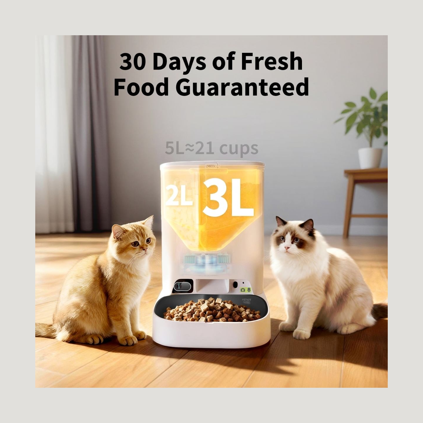 Petkit YumShare Dual-hopper 2 Automatic Feeder with Camera | Capacity 5 L | Material ABS, 304 stainless steel | White