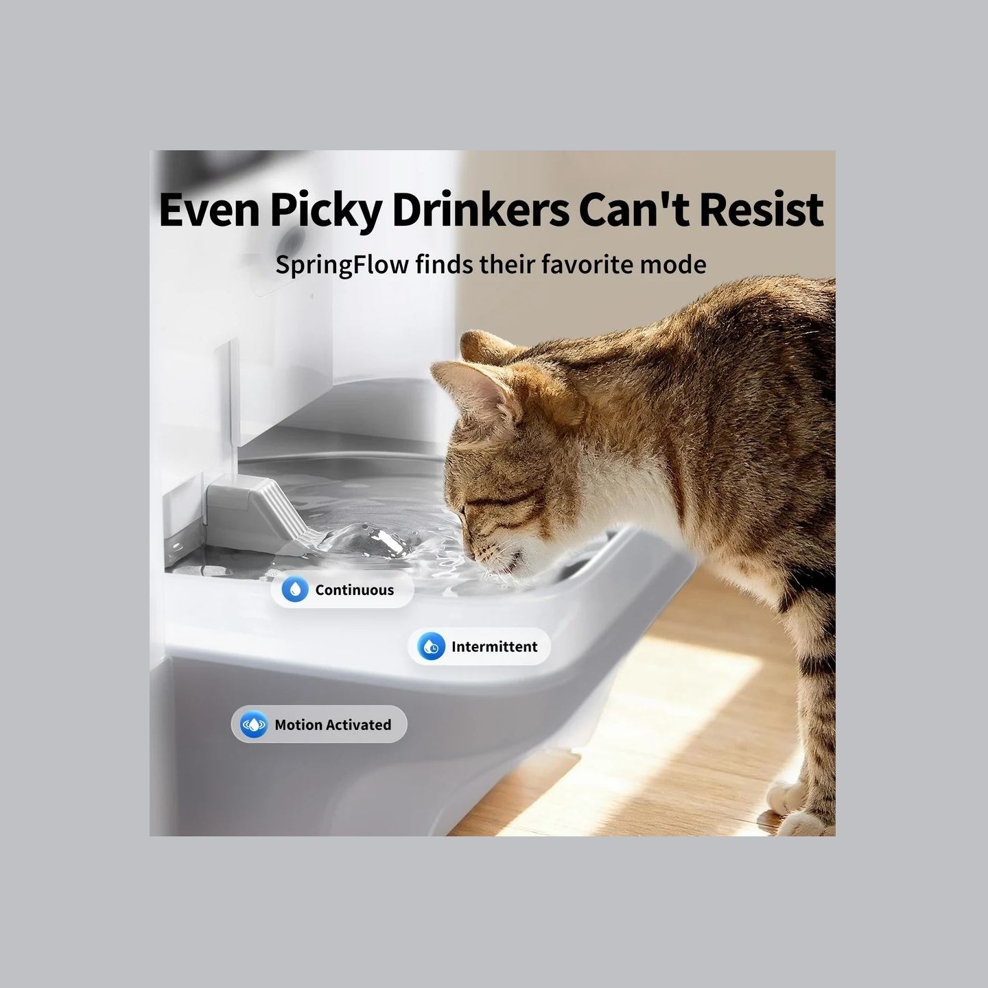 Petkit Pet Water Fountain with Camera | EverSweet Ultra | Capacity 5 L | Material ABS, 304 Stainless Steel, PP, PPO | White
