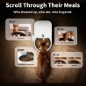 Petkit P571 2 (D4H-2) YumShare Solo 2 Feeder with camera | Capacity 3 L | Material ABS, 304 stainless steel, Silicone | White
