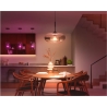 Philips Hue WCA 1100 A60 2P EU | E27 | 8.1 W | White and colour light | Bluetooth and Zigbee