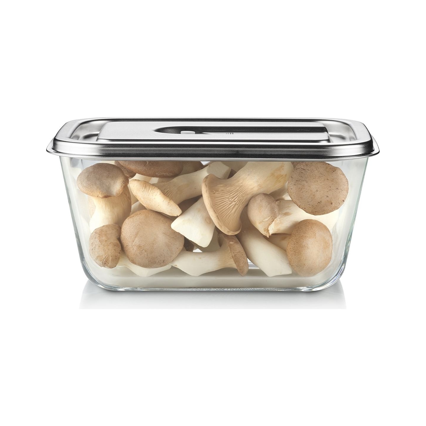 Caso Glass Vacuum Container with Plastic Lid | VacuBoxx Inox XL | Transparent