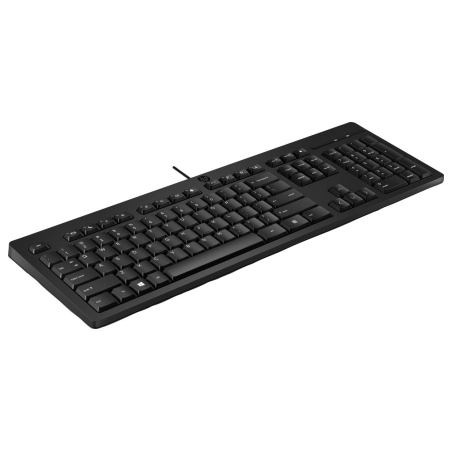 HP 125 G2 USB Wired Keyboard, Sanitizable, Copilot Key - Black - ESTONIAN / AY2Y7AA#ARK