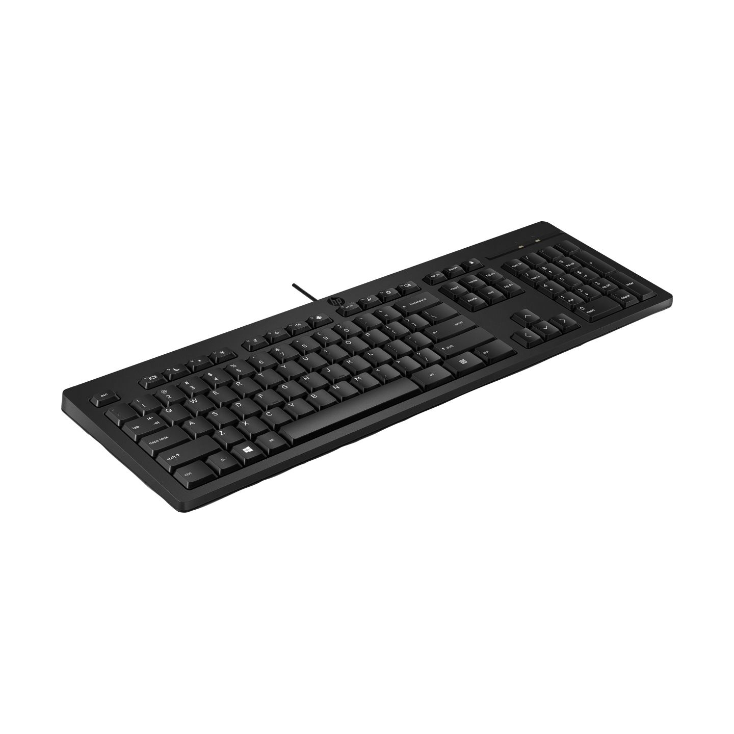 HP 125 G2 USB Wired Keyboard, Sanitizable, Copilot Key - Black - ESTONIAN / AY2Y7AA#ARK