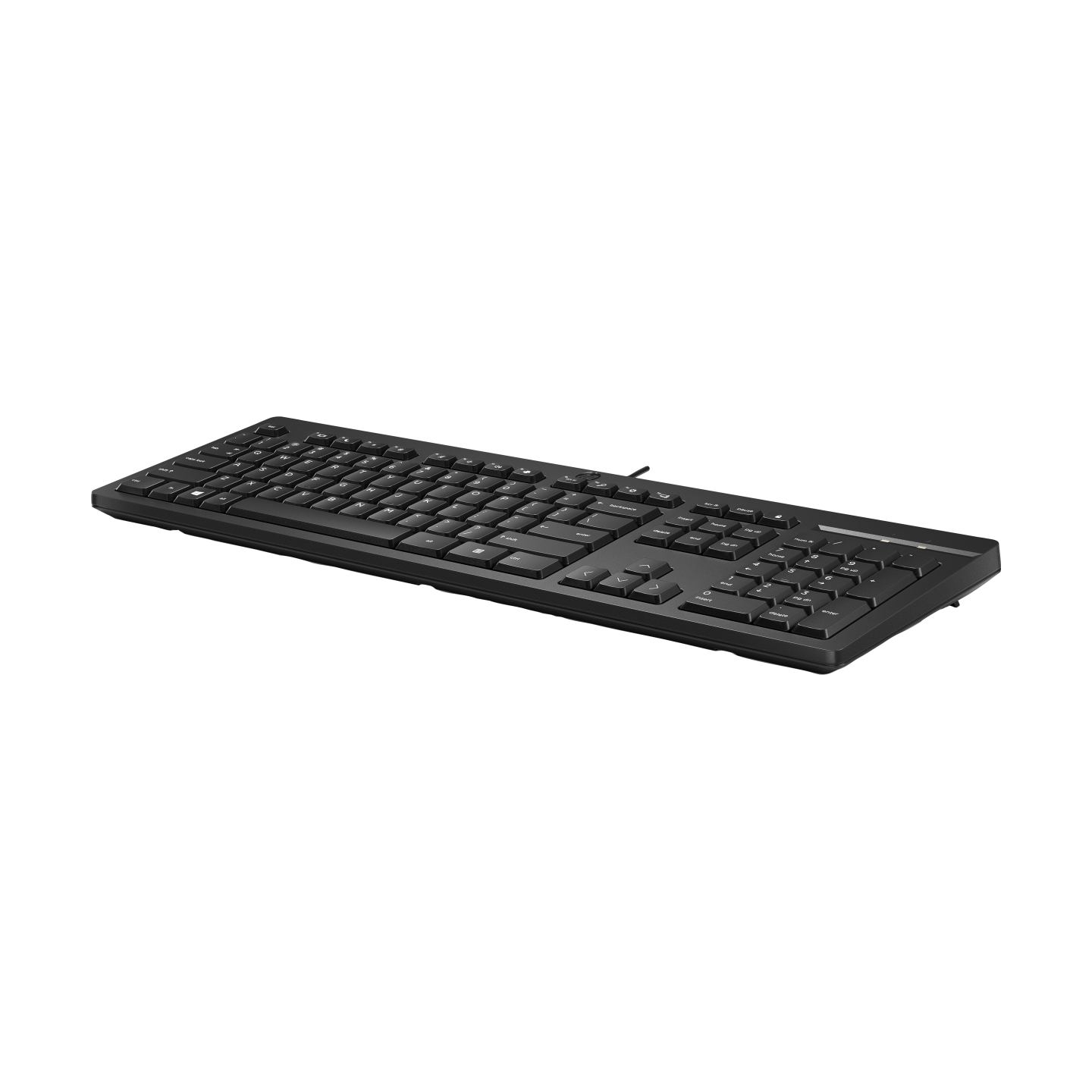 HP 125 G2 USB Wired Keyboard, Sanitizable, Copilot Key - Black - ESTONIAN / AY2Y7AA#ARK