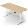 Arozzi Electric Standing Desk | Arena Nordico | Birch