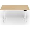 Arozzi Electric Standing Desk | Arena Nordico | Birch