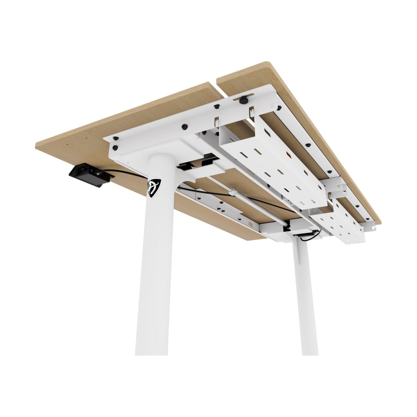 Arozzi Electric Standing Desk | Arena Nordico | Birch