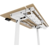Arozzi Electric Standing Desk | Arena Nordico | Birch