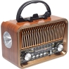 Tracer 47774 RTX200 ShockWave Radio FM