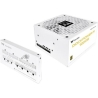 Thermaltake Dockpower F I 1000W Gold Snow